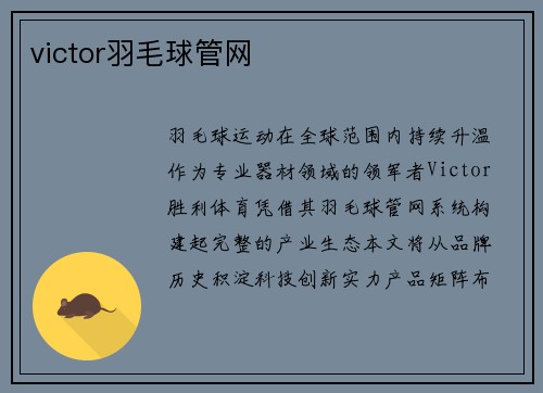 victor羽毛球管网