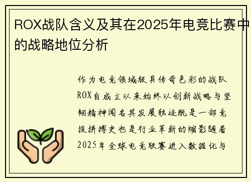 ROX战队含义及其在2025年电竞比赛中的战略地位分析